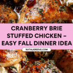 Cranberry and Brie Stuffed Chicken Recipe