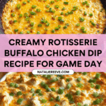 Rotisserie Buffalo Chicken Dip Recipe