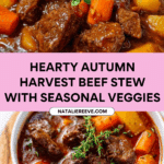 Autumn Harvest Beef Stew Recipe