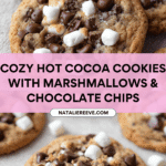 Hot Cocoa Cookies Recipe