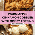 Apple Cinnamon Cobbler Recipe