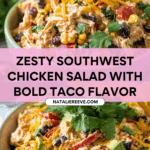 Zesty Southwest Chicken Salad Recipe