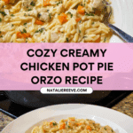 Creamy Chicken Pot Pie Orzo Recipe