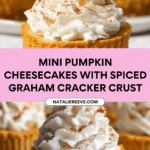 Mini Pumpkin Cheesecake Recipe