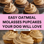 Oatmeal & Molasses Pupcakes Recipe