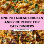 One Pot Queso Chicken and Rice : Easy Comfort Food Recipe